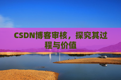CSDN博客审核,探究其过程与价值